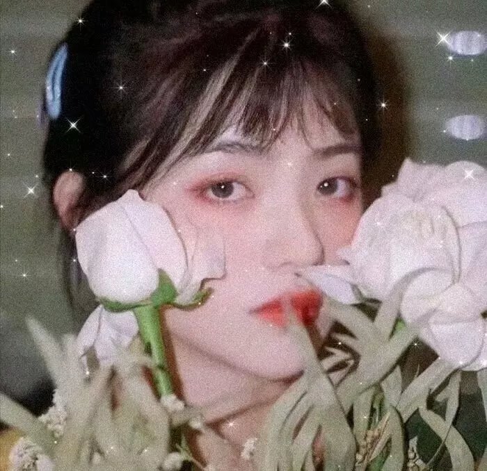 捍卫使者