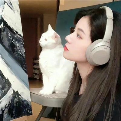 月黑风高