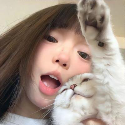 妖精森林的小不点